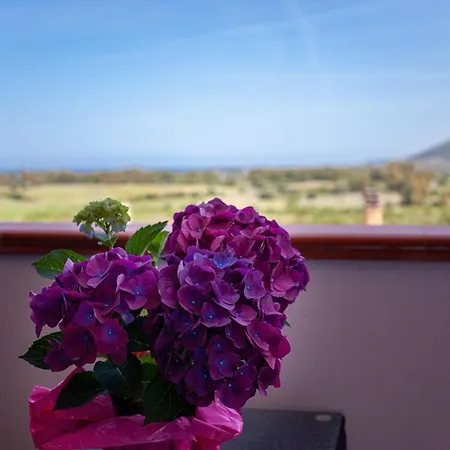 Maya Apartman Posada